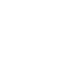 ICHI Devils K's emblem