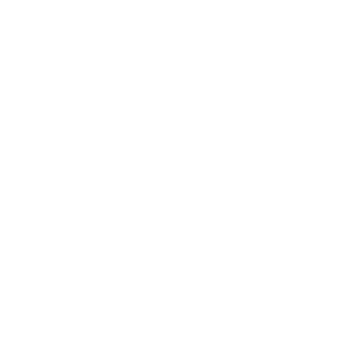 pustak16's emblem