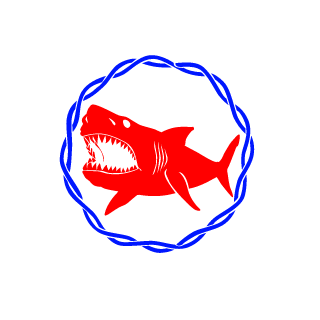 Beliy512's emblem