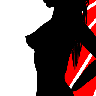N4AGU's emblem