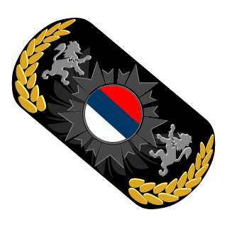 9_EVIL_MONKEY_9's emblem