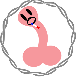 xXxVeCtOrXx's emblem
