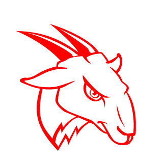 GamerSOK's emblem