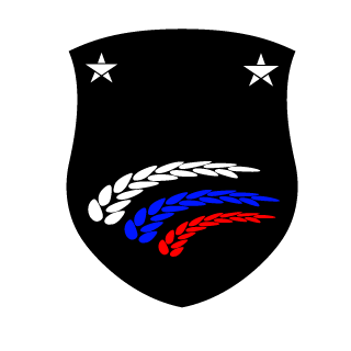 inc0gnit047's emblem