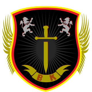 BlackKnight_D's emblem