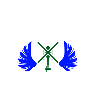 ka4a_NAVY's emblem
