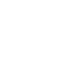 RacoonAbuser952's emblem