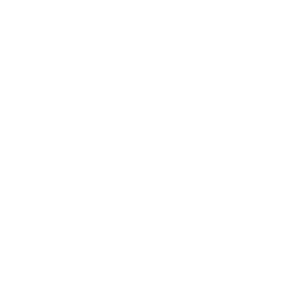 BrunoMicol9's emblem