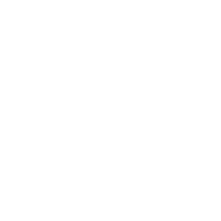 zzspawnzz's emblem