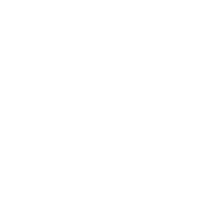 ca12e90e3fb03fff's emblem