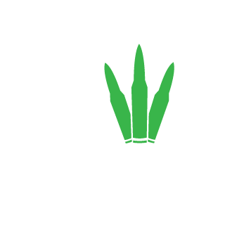 CrityS's emblem