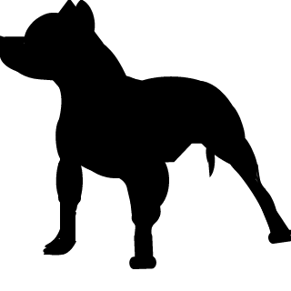 pistol16's emblem