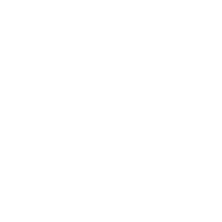 Dankibr's emblem