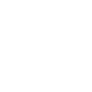 DemonicMouse599's emblem