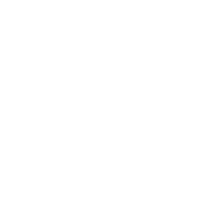 TocNoc's emblem