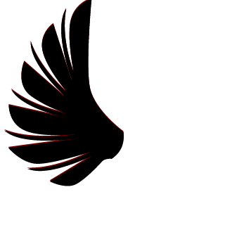 Ronin04_PL's emblem