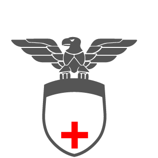 GER-ninety's emblem