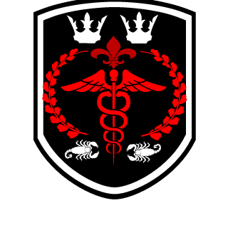 YrohBR's emblem