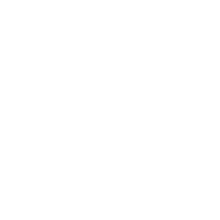 Hodi20's emblem