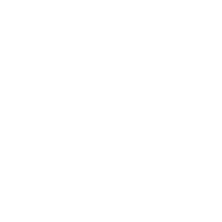TheMrSmith24's emblem