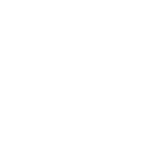 The-Punisher-fcw's emblem