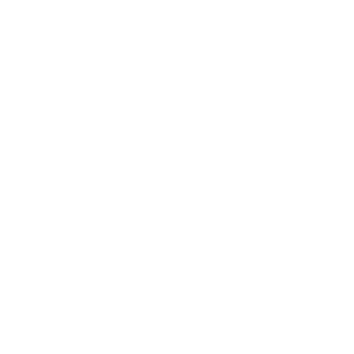 FN-Type_Doraemon's emblem
