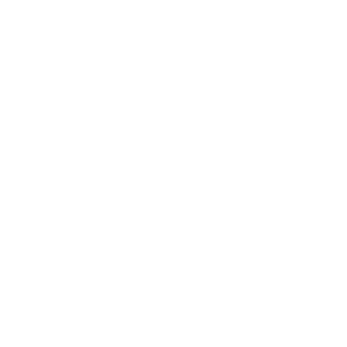Porcupine95's emblem