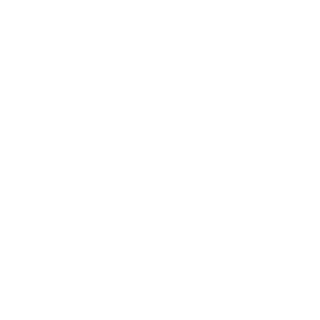 nexeriv's emblem