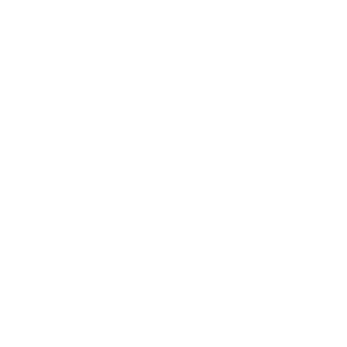 ASTROFEEK's emblem