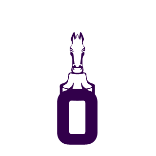 Zetykk06's emblem