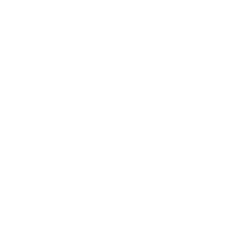 09wikor552's emblem