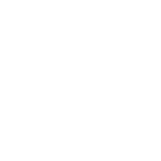 MaximusMax's emblem