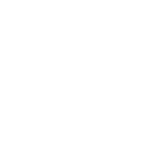 Skayzik2's emblem