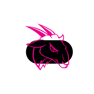 2N3K0's emblem