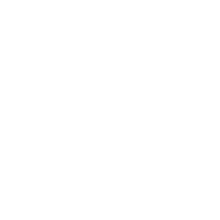 SixGun393's emblem