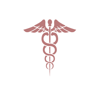 VL25region's emblem