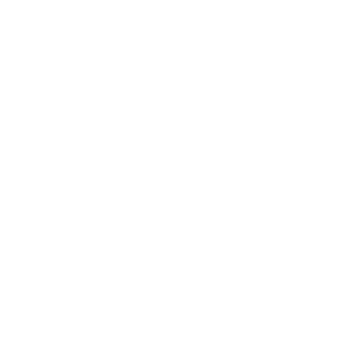 rubiris's emblem