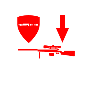 Chaos1993's emblem