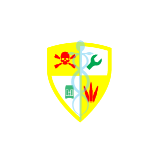 p1ka4y1234's emblem