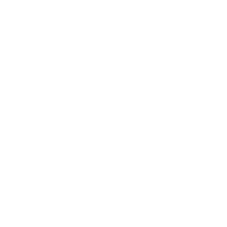 Pokipok12's emblem