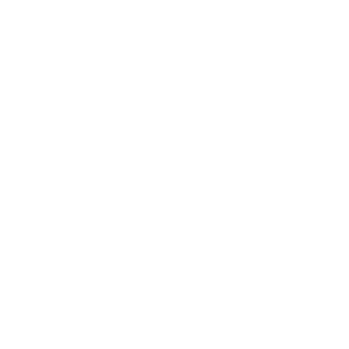 VVipe's emblem