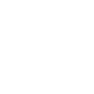 ZodiacKing's emblem