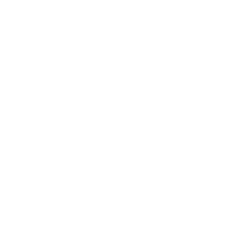 9723d2e218a9670f's emblem