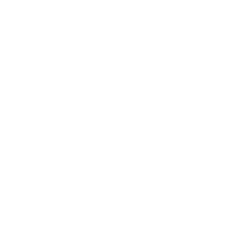 valkonenkuolema's emblem