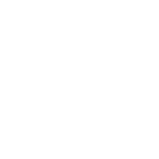 LAYER_XiMAPEX's emblem