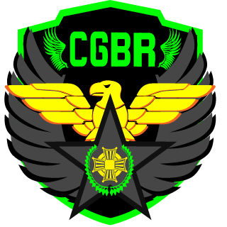 SHAYL0NG's emblem