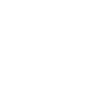 welizoidera's emblem
