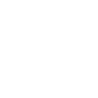 vemvo's emblem