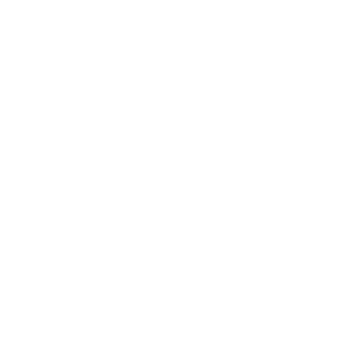Mozart9413's emblem