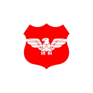 Turkey Special Forces's emblem